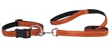 X-LARGE 26 IN - COPPER - Padded Nylon Dog COLLAR & LEAD SET
