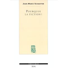 Pourquoi la fiction ?