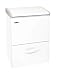 Haier LW120W Energy Efficient Dual Compartment Chest Freezer