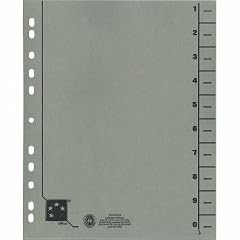 5 Star 914778 Trennbl�tter vollfarbig 30x24 cm, RC Karton 230 g/qm Inh.100, grau