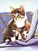 What's Going on Cat? ,Puzzle