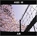 永遠と一日