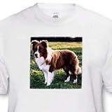 Border Collie Tan and White - Toddler T-Shirt (4T)