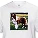 Border Collie Tan and White - Toddler T-Shirt (3T)