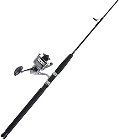 Star Rods Aerial Jigging Spinning Combo - EXC6JSH