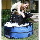 31PWjWIFmxL. SL160  ABO Gear Dirty Dog Portable Dog Bath