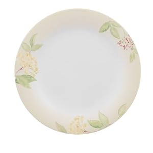 Villeroy and Boch Green Garland 10.5-Inch Dinner Plate, Set of 6 by