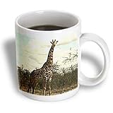 Wild animals - Giraffe - Mugs