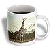 Wild animals - Giraffe - Mugs