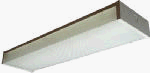 American Fluor #SW217R8 2LGT 24 Ceiling Fixture