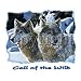 Call Of The Wild-Wolves Youth Sweatshirt