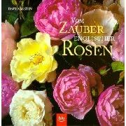 Beauty of the English Rose