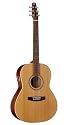 Seagull Coastline S6 Folk Cedar QI Guitar