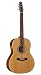 Seagull Coastline S6 Folk Cedar QI Guitar