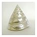 Shell I Art Poster PRINT Darlene Shiels 20x20