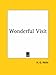 Wonderful Visit (1895)