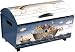 Noahs Ark Toy Chest