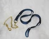 17D24 Nylon Lead with Chain Navy 7 ft.
