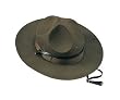 Campaign Hat
