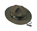 Campaign Hat