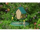 Seed Hoop 16 In