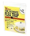 Universl Flea Trap Refil 3Pk 24