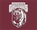 NCAA Sports Classic Blanket/Throw Montana Grizzlies - College Athletics Fan Shop Merchandise