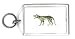 Keychain with cynocephalus, thylacinus