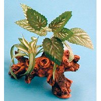 Driftwood Gardens - Small - Style 4 - 3 12 in. x 3 12 in. x 7 in. - Buy Driftwood Gardens - Small - Style 4 - 3 12 in. x 3 12 in. x 7 in. - Purchase Driftwood Gardens - Small - Style 4 - 3 12 in. x 3 12 in. x 7 in. (Penn Plax, Home & Garden, Categories, Pet Supplies, Fish & Aquatic Pets, Aquarium Accessories, Decor, Driftwood)