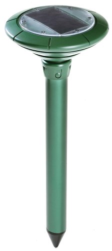 City Travel Guides Discounted  Garten & Freizeit : Stellar 001009 Solar Maulwurfschreck Premium