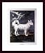 Wolfhound, Art Poster by Georges-Louis Buffon, with Wood Frame, poster size: 18 x 14