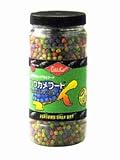 レップカル リクガメフード 170g