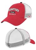 Ottawa Senators Rock-n-Road CD Holder