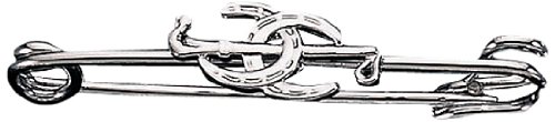Crop with Two Horseshoes Stock Pin 22 Carat Gold Plate