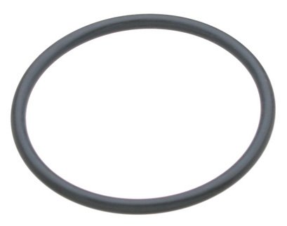 Frewdenburg-Nok Water Pump Housing O-Ring
