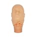 �����ѥե��������С� W16��H26cm