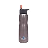 Aqua Vessel Insulated Filtered Water Bottle / Filtration Bottle with 100 Gallon Filter - Double Wall thermos (17-Ounce, Silver Express)