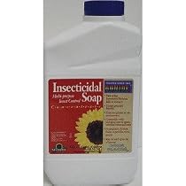 BONIDE INSECT SOAP QT. CONC.