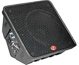Fender Artist 1270P Speaker - Active 2-way Speaker - Cable - Black