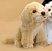 Plush Yellow Labrador Puppy Sitting 9