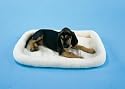Precision Pet SnooZZy Original Fleece Pet Bed, Small 2000, 25" x 20", Cream