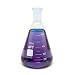 WPI CG-0110 Glass Erlenmeyer T-II Flask with Taper-Ground Neck, 50mL Capacity