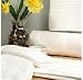 Riegel Microcotton Hotel Bath Sheet - 3 Pk (Pack of 2)