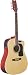 Washburn D10SCE - Natural Cutaway Acoustic/Electric in Natural Finish with Hardshell Case