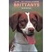 Brittanys (Kw Dog Breed Library Kw-092)