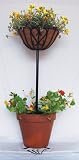 Bosmere F912 Chelsea Topiary Basket Stand - 41 Inch Tall, 14 Inch Basket with Brown AquaSav Coco Liner