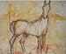 Gesture Of Standing Horse, Drawing by May Kaddah, Original