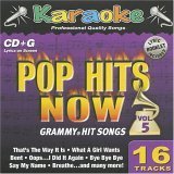 Karaoke Bay: Pop Hits Now, Vol.5 - Grammy Hit Songs