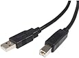 StarTech.com 1-Feet USB 2.0 A to B Cable - M/M (USB2HAB1)
