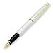Aurora Pens Style Chrome GT E14 Fountain Pen